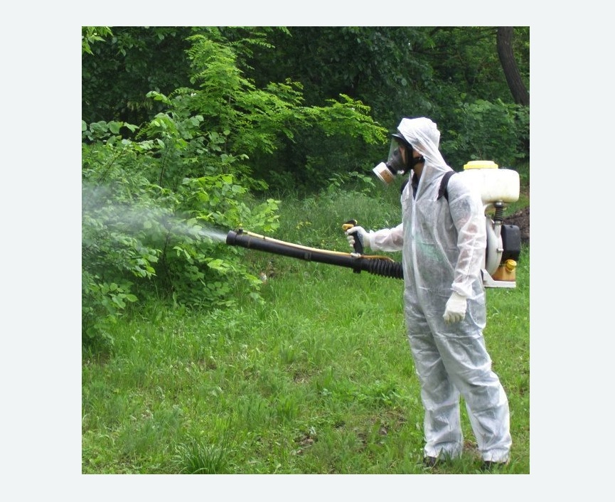 обработка территории от клещей в Северном районе Москвы