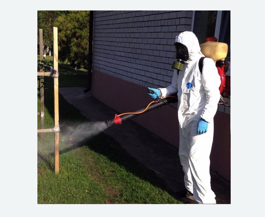 травля клещей на участке в Северном районе Москвы