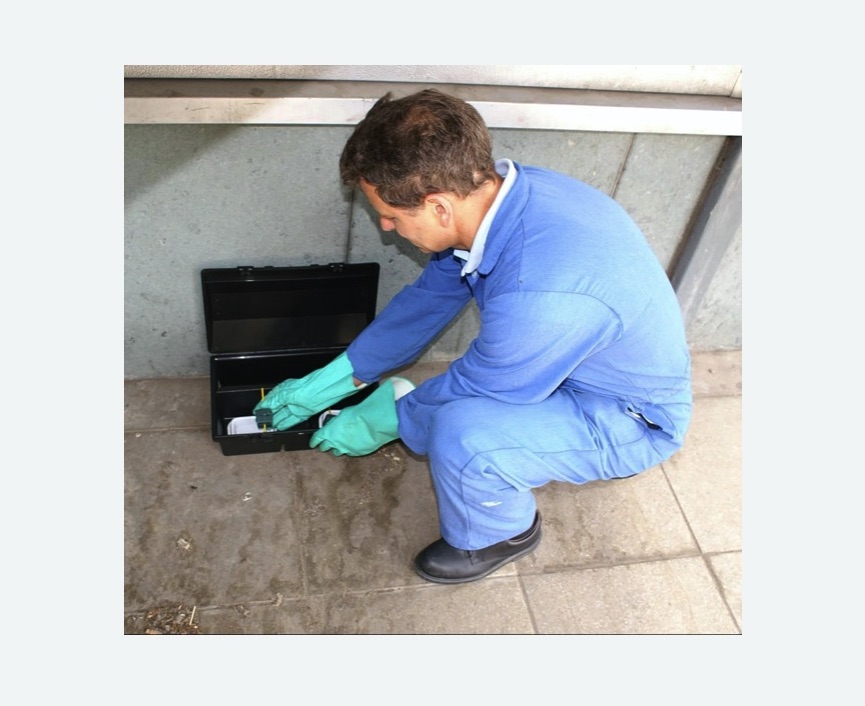 Дератизация помещения в Северном районе Москвы Дератизация помещения