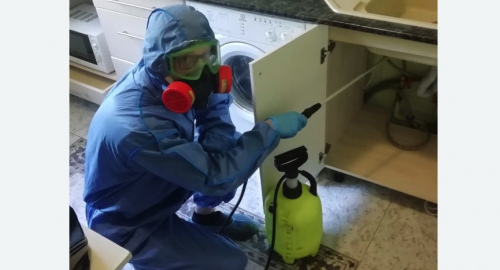 Уничтожение муравьев в квартире. Северный 