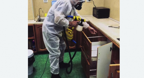 Уничтожение насекомых в квартире. Северный 