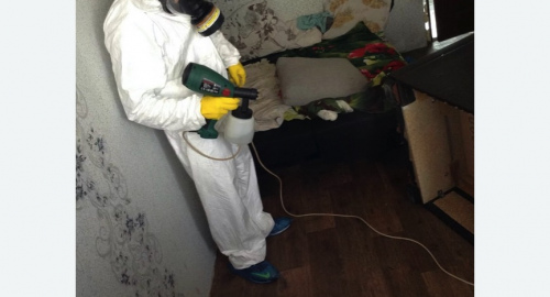 Обработка квартир от насекомых в Северном районе Москвы