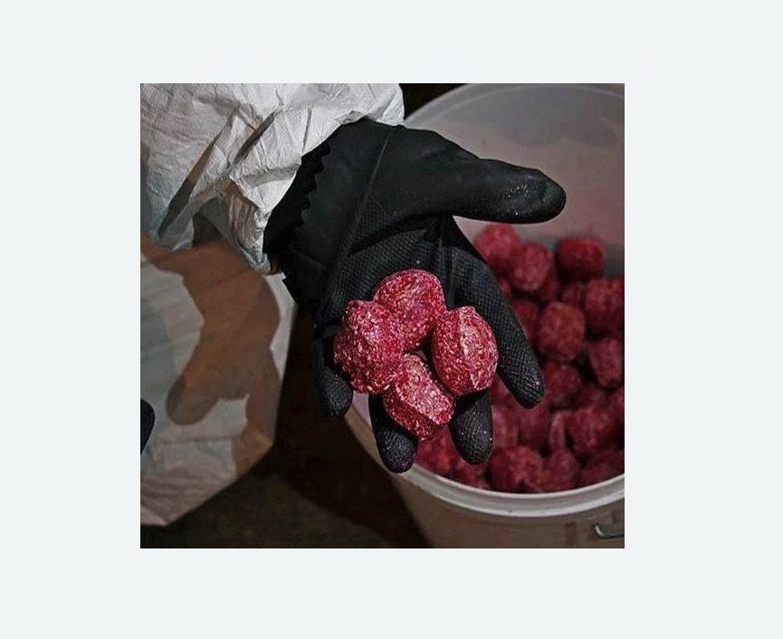 Обработка от крыс в Северном районе Москвы