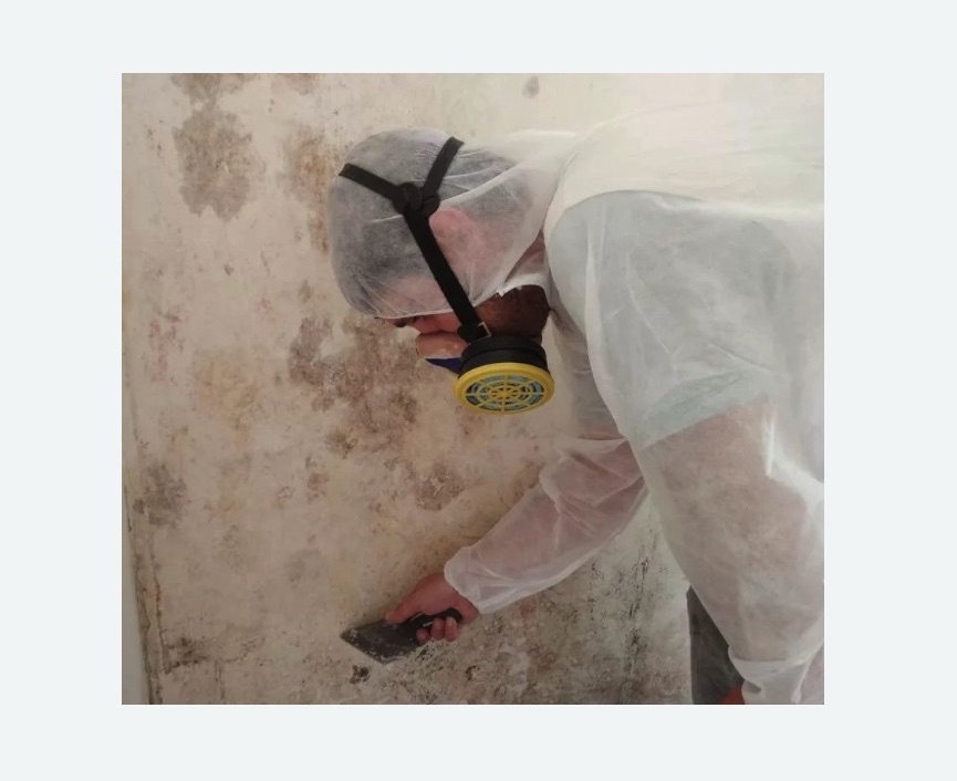 Обработка стен от плесени Обработка стен от плесени в Северном районе Москвы