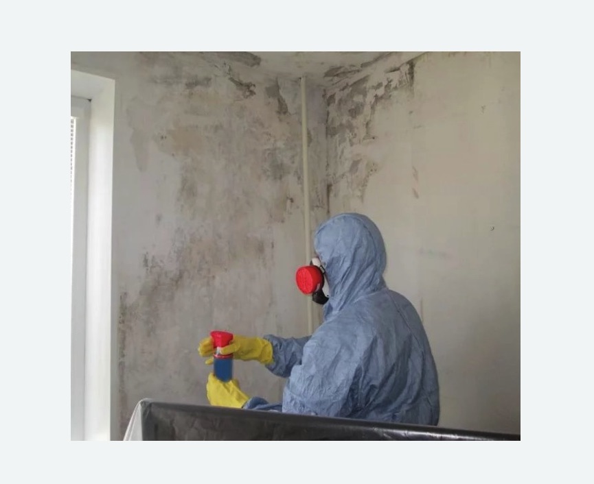 Удаление плесени в квартире Удаление плесени в квартире в Северном районе Москвы
