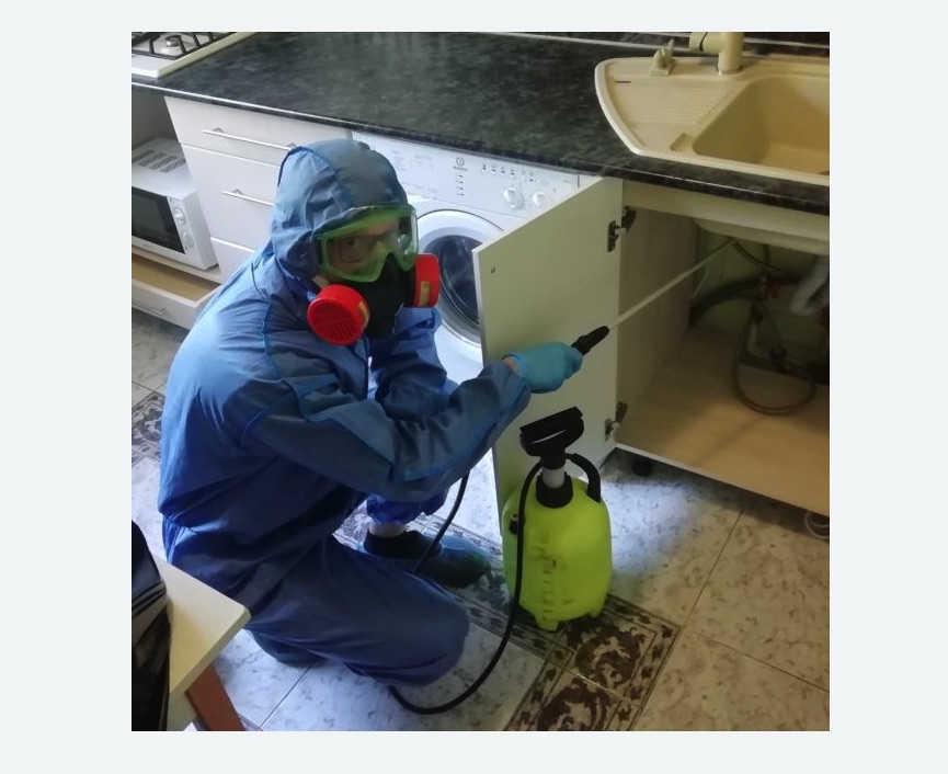 обработка от муравьев в квартире в Северном районе Москвы