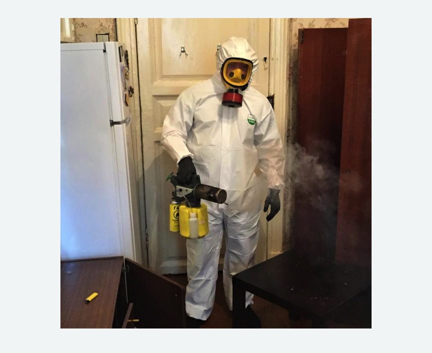 уничтожение муравьев в квартире в Северном районе Москвы